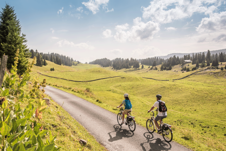 Parc Jura vaudois © André Meier / Schweiz Tourismus