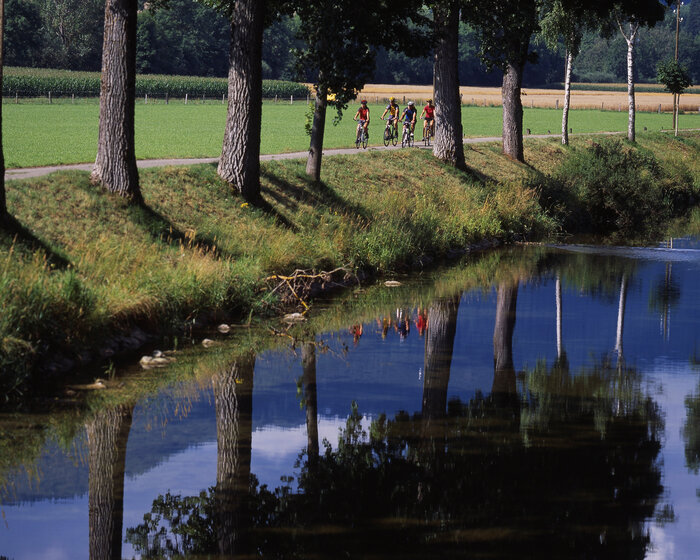 La Route Verte - 6ème étape