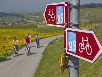 5th Stage: Langnau-Burgdorf