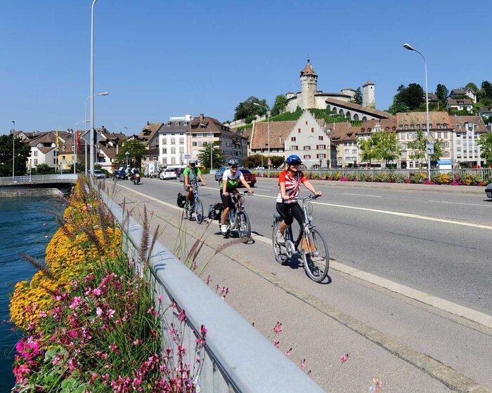 Rhine Falls Route