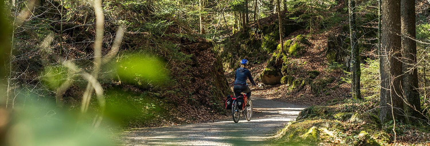 Swiss Historic Hotels