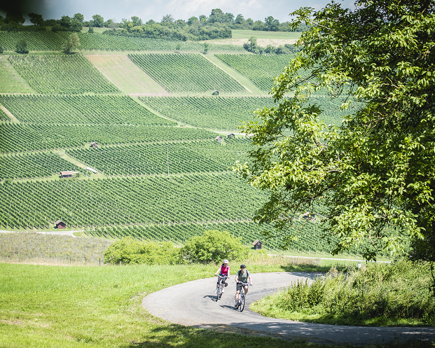 La Route Verte - 1ère étape