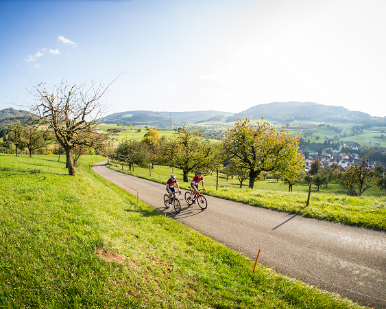 La Route Verte - 2ème étape