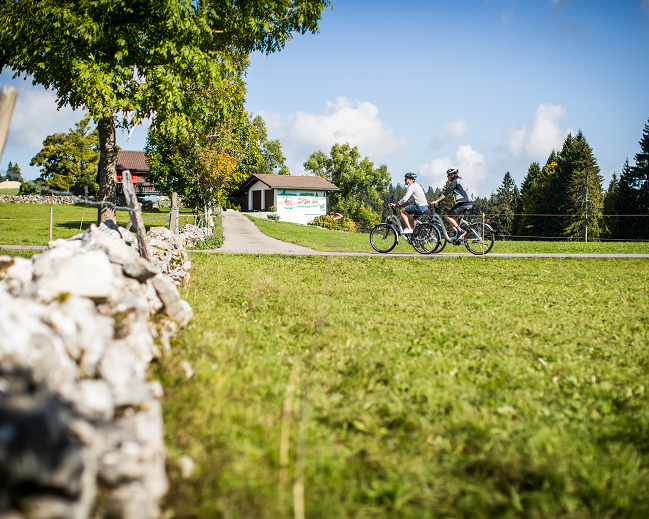 La Route Verte - 5ème étape