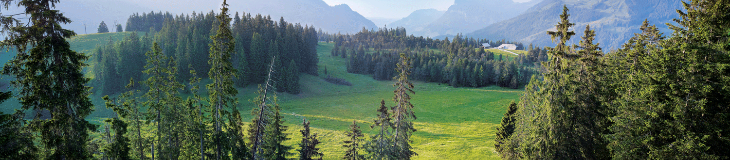 Schweizer Pärke